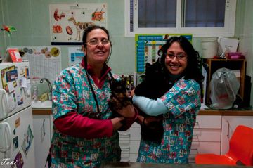 Clínica Veterinaria Las Nieves veterinarias con cachorros 